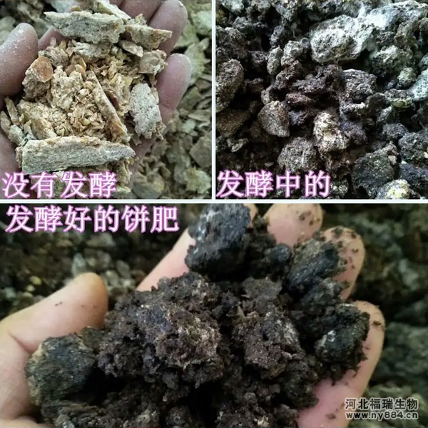 如何將菜籽餅發(fā)酵制成有機(jī)肥料